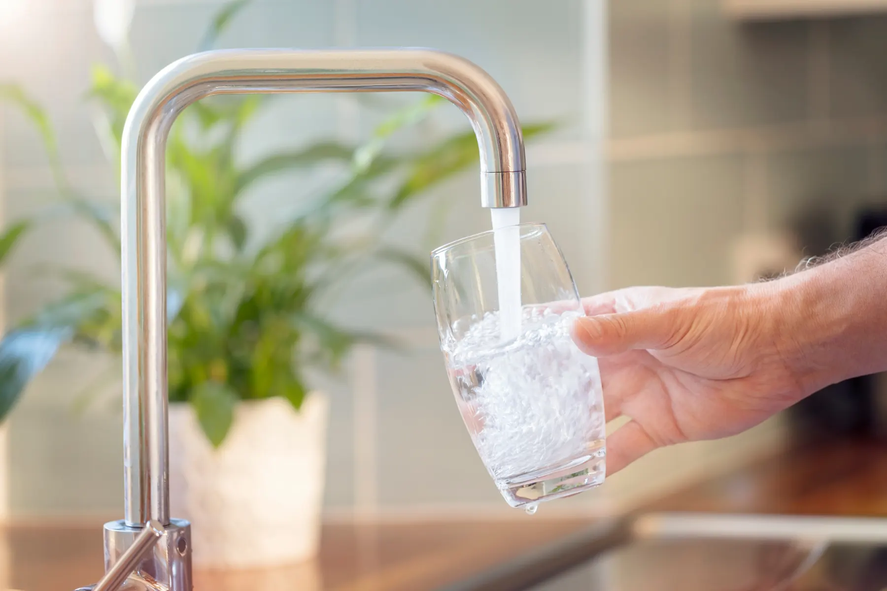Hand holding a glass under a running kitchen tap beside a houseplant